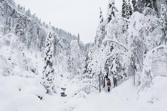 Frozen Waterfalls of Korouoma Canyon tour with Pro Photos & BBQ - Pro Photos in the cold: how the photographer changes your results