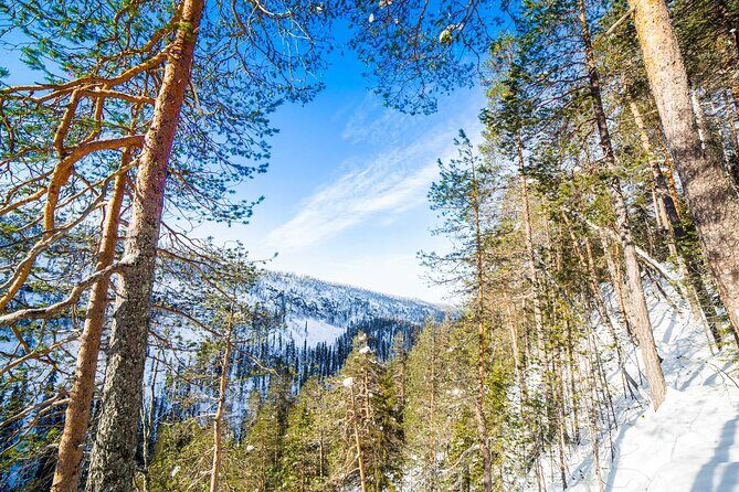 Frozen Waterfalls of Korouoma Canyon tour with Pro Photos & BBQ - BBQ lunch in Korouoma Canyon: a warm reset in the wild