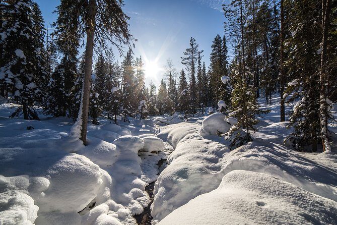 Frozen Waterfalls of Korouoma Canyon tour with Pro Photos & BBQ - Viewpoint at the top of the ancient canyon: why it’s worth the effort