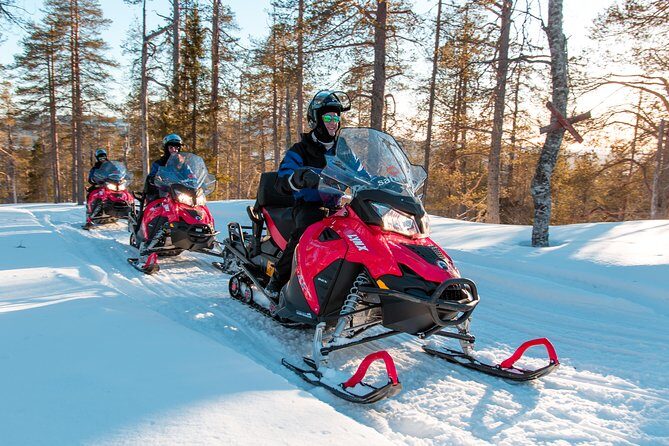 Full Day Snowmobile Safari into the Lappish Wilderness in Rovaniemi - Who Should Book This Snowmobile Safari (And Who Might Skip It)