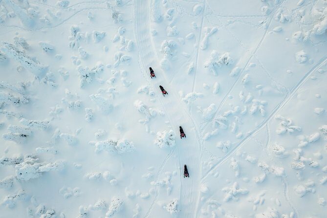 Full Day Snowmobile Safari into the Lappish Wilderness in Rovaniemi - The Campfire Lunch: Lappish Food That Actually Warms You Up