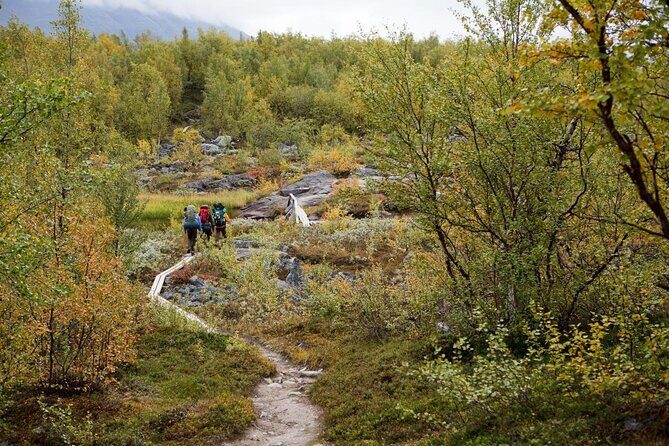 Guided Ice Climbing Activity in Pyhä - Where the trip starts at Pyhätunturi (and how gearing up sets the tone)