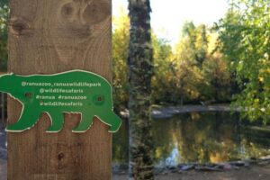 Guided Ranua Wildlife Park tour with Lunch, Small group adventure - Hotel pickup and the 9:00 am start: logistics that actually help
