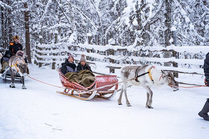 Half-Day Experience in Local reindeer farm in Lapland - What the guide adds: herding stories and the why behind the wow