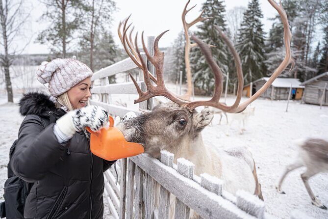 Half-Day Experience in Local reindeer farm in Lapland - What to wear and bring (so the cold doesn’t boss you around)