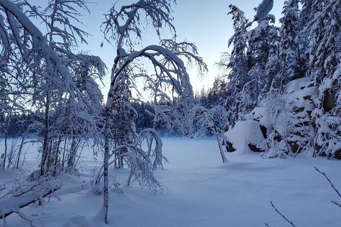 Half-Day Nature Adventure to Nuuksio National Park from Helsinki - Key Highlights to Know Before You Go