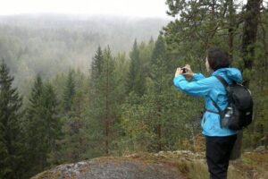 Half-Day Nature Adventure to Nuuksio National Park from Helsinki - The 3-Hour Hike: Forest Trails, Granite Rocks, and Lakes