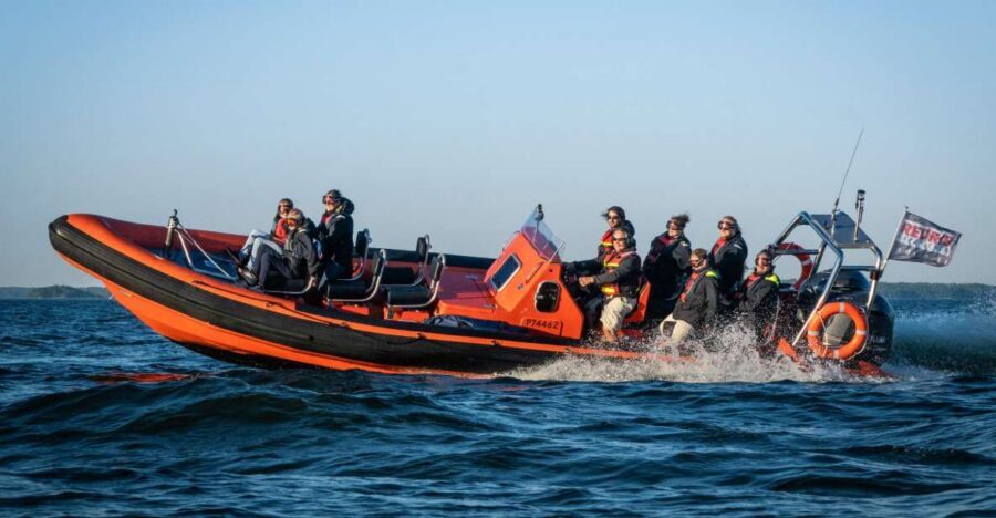 Helsinki: City and Outer Islands Guided RIB Boat Tour - The City Coastline Loop: Presidential Palace, Market Square, Uspenski, and Sea Pools