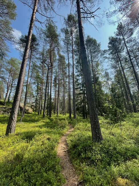 Helsinki: Nuuksio National park hiking with campfire lunch - Price check: what $141 covers and whether it’s fair