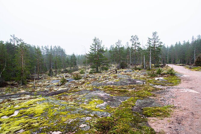 Helsinki: Nuuksio National park hiking with campfire lunch - The food plan: berry juice, Finnish snacks, and small surprises