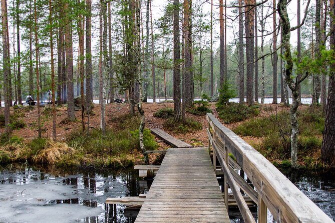 Helsinki: Nuuksio National park hiking with campfire lunch - A 7.5 km route: ridges, viewpoints, and real forest footing