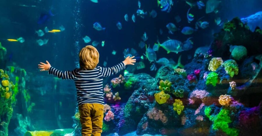 Helsinki: Sea Life Entrance Tickets - Location beside Linnanmäki: easy to tack onto your Helsinki day