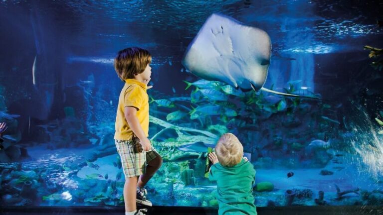 Helsinki: Sea Life Entrance Tickets - What you’ll see in the main exhibit areas
