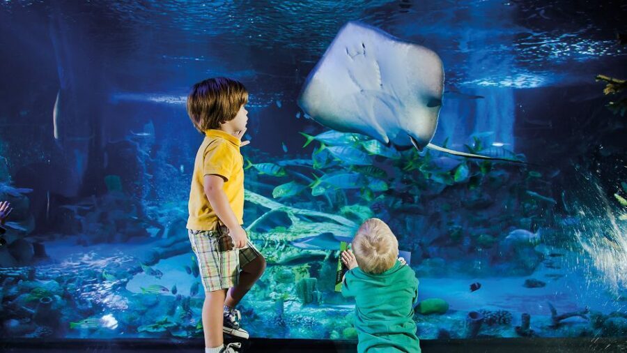Helsinki: Sea Life Entrance Tickets - What you’ll see in the main exhibit areas