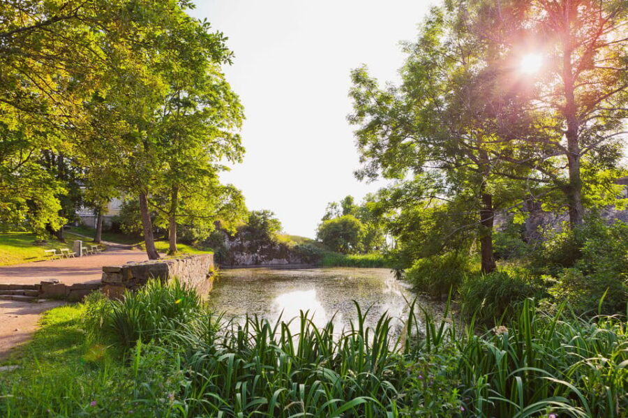Helsinki: Suomenlinna and Lonna Hop-on Hop-off Cruise - Who This Cruise Is Best For (And Who Might Find It Less Satisfying)