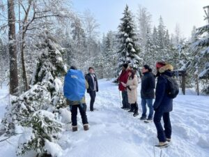 Helsinki: Winter Wonderland Liesjärvi National Park Hike - The trail walk: easy distance, smart pacing, real winter navigation