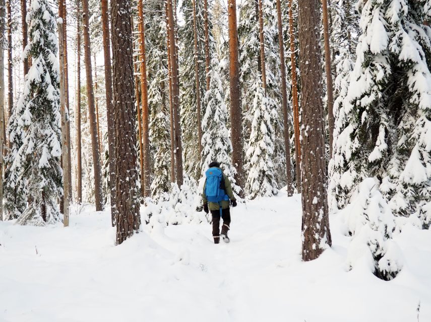 Helsinki: Winter Wonderland Liesjärvi National Park Hike - Gear and safety: what’s included, what you must bring