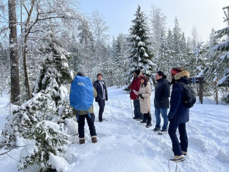 Helsinki: Winter Wonderland Liesjärvi National Park Hike - The trail walk: easy distance, smart pacing, real winter navigation