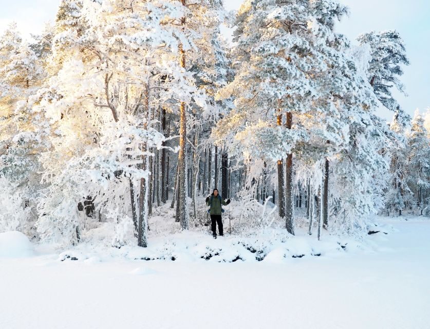 Helsinki: Winter Wonderland Liesjärvi National Park Hike - Sustainability: small-group, low-impact outdoors
