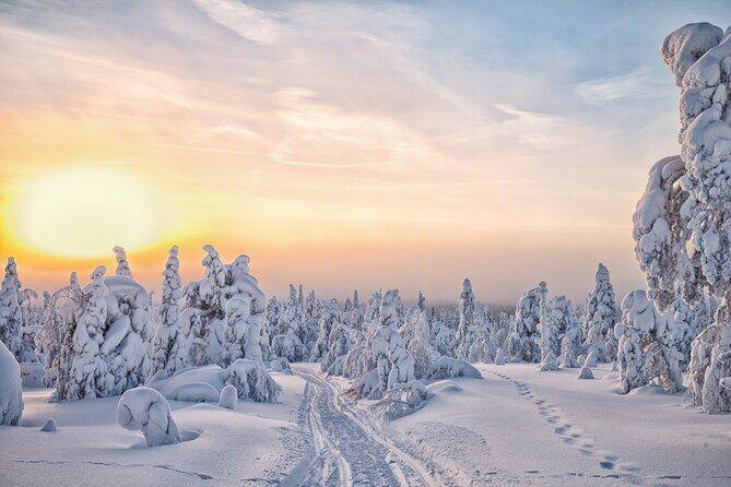 Hike to Frozen Waterfalls of Korouoma Including BBQ Lunch from Rovaniemi - The Hike Itself: Frozen Waterfalls, Canyons, and Steep Icy Sections