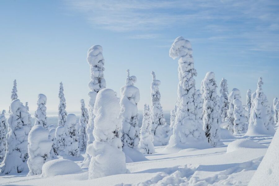 Hiking in Riisitunturi National Park with Photographer - Key highlights to look for