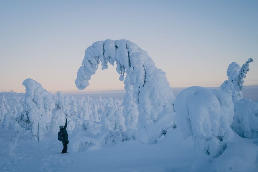 Hiking in Riisitunturi National Park with Photographer - Riisitunturi in winter: why this 5 km hike feels special