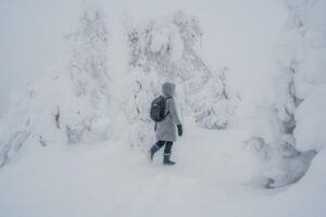 Hiking in Riisitunturi National Park with Photographer - Pickup from Rovaniemi and the long van ride that actually helps