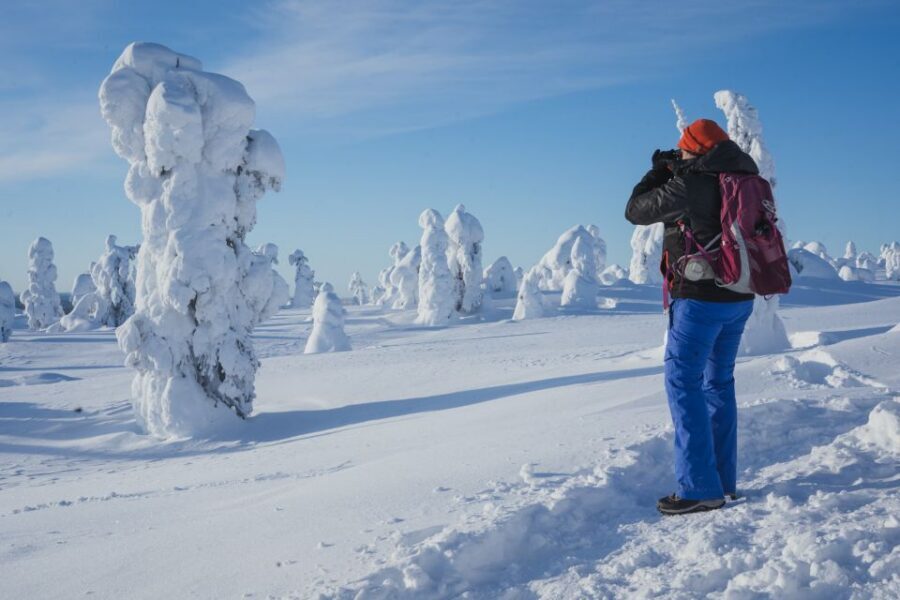 Hiking in Riisitunturi National Park with Photographer - What you actually get: included lunch and edited photos