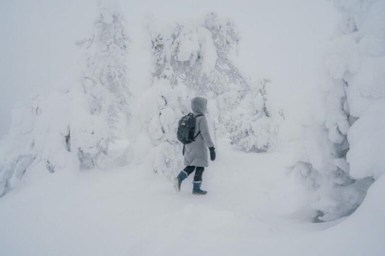 Hiking in Riisitunturi National Park with Photographer - Pickup from Rovaniemi and the long van ride that actually helps