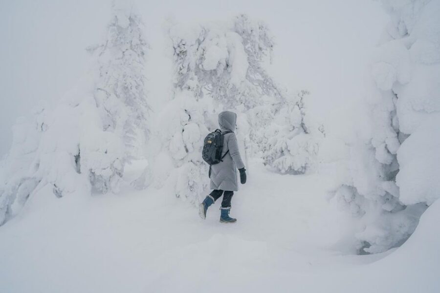 Hiking in Riisitunturi National Park with Photographer - Pickup from Rovaniemi and the long van ride that actually helps