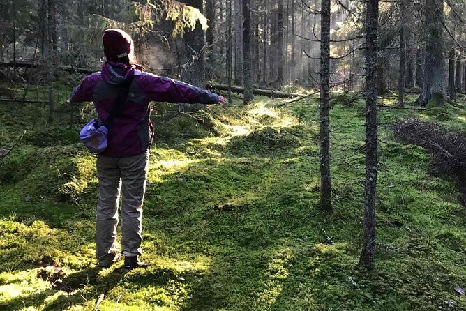 Hiking tour in Nuuksio National Park with meal and snacks - Key Points You’ll Care About in Nuuksio (Not Just the Booking Details)