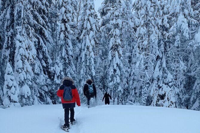Hiking tour in Nuuksio National Park with meal and snacks - From Helsinki to Nuuksio: Why This Tour Works So Well for Limited Time
