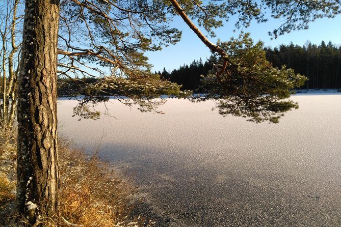 Hiking tour in Nuuksio National Park with meal and snacks - The Food Plan: Glögi, Berry Snacks, and Homemade Mushroom Soup