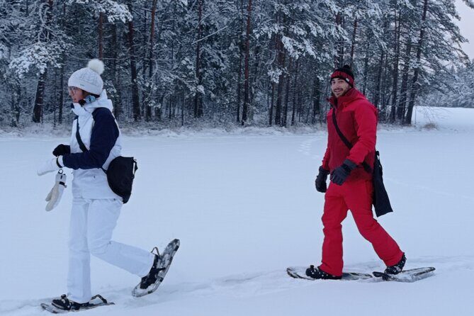 Hiking tour in Nuuksio National Park with meal and snacks - David’s Guide Style: Small-Group Questions and Real Foraging Talk