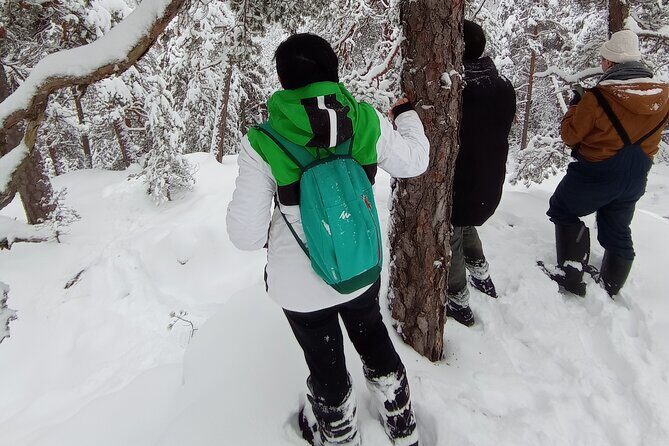 Hiking tour in Nuuksio National Park with meal and snacks - Weather, Seasons, and What to Pack for Wet or Frozen Ground