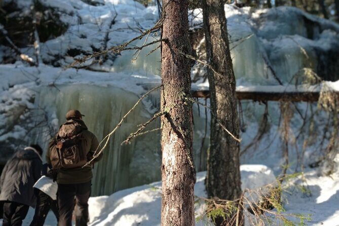 Hiking tour in Nuuksio National Park with meal and snacks - Who Should Book This Nuuksio Hike (and Who Might Prefer Something Easier)