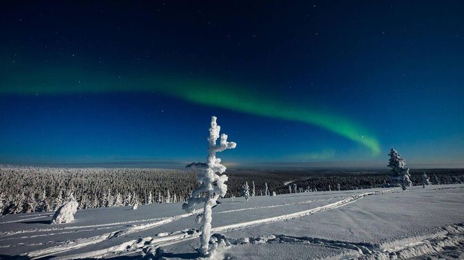 Hunting Northern Lights with Husky - Hot blueberry juice, sausage, and the end-of-ride campfire rhythm