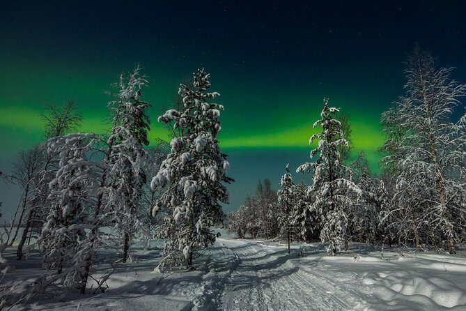 Hunting Northern Lights with Husky - The Northern Lights hunt: what you get when the clouds win
