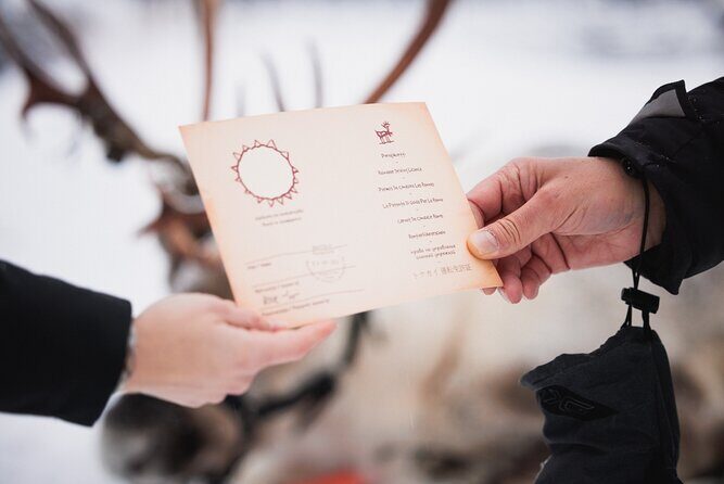 Husky and Reindeer Experience - Who This Tour Fits Best (and Who Might Be Happier Elsewhere)