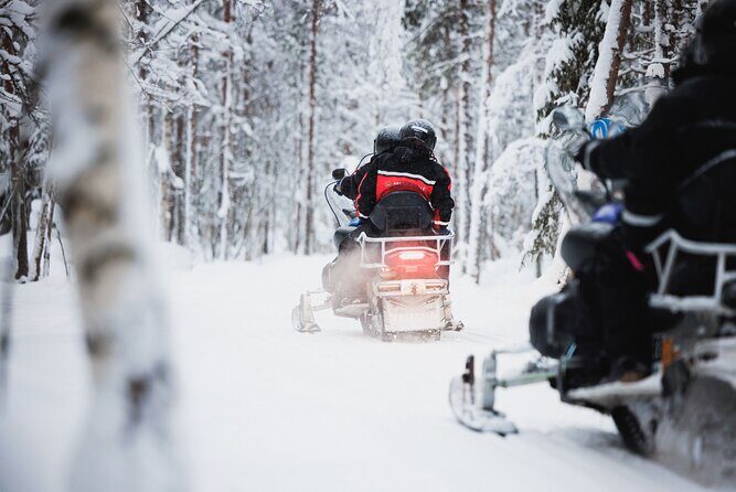 Husky and Reindeer Experience With Snowmobiling - Key points before you go