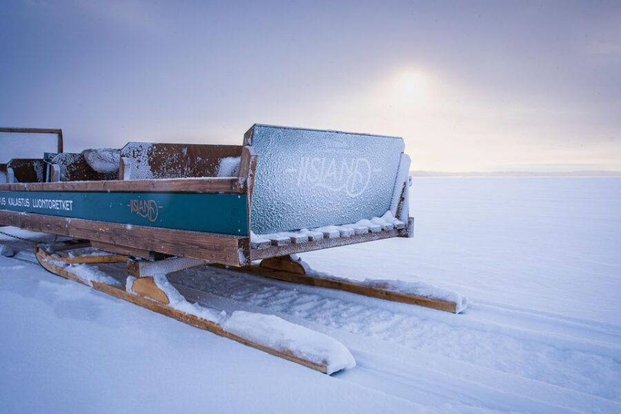 Ii: Snowmobile sleigh trip on frozen sea under starlit sky - Key Things That Make This Trip Worth It