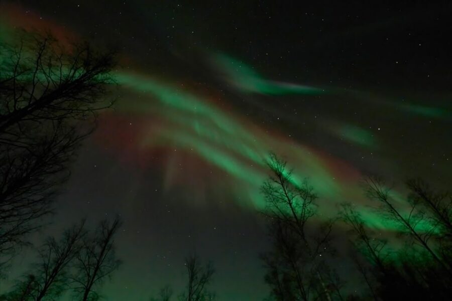 Ii: Snowmobile sleigh trip on frozen sea under starlit sky - 3 Hours in Motion: Snowmobile and Sleigh to the Sea Views