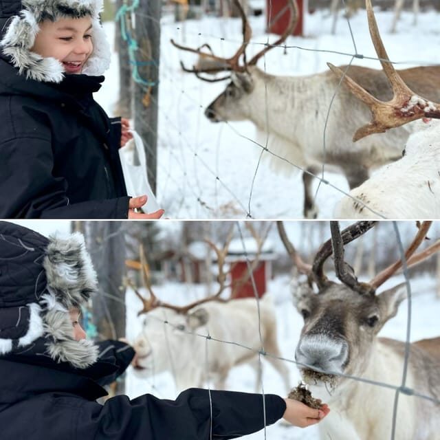 Ivalo: Ice Fishing Tour to Lake Inari, Reindeers & Lunch - Lunch by Open Fire in a Sami Teepee: What You Actually Eat and Why It Matters