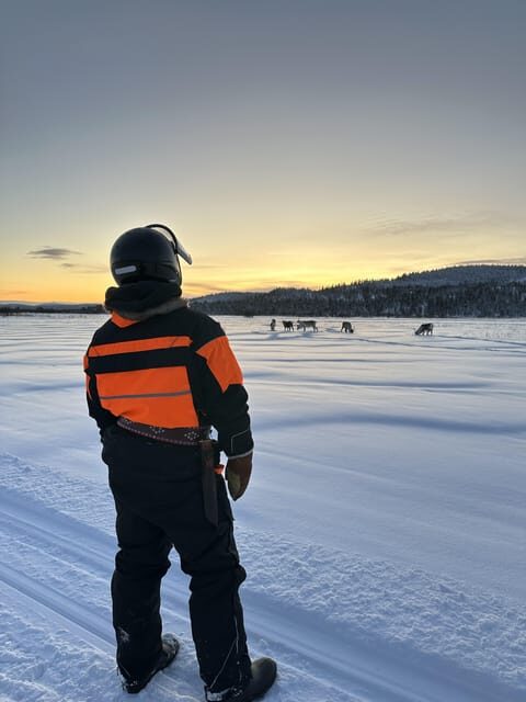 Ivalo: Snowmobile Safari, Meet and Feed Reindeers with Lunch - Warm Lunch in a Lappish Teepee by Campfire