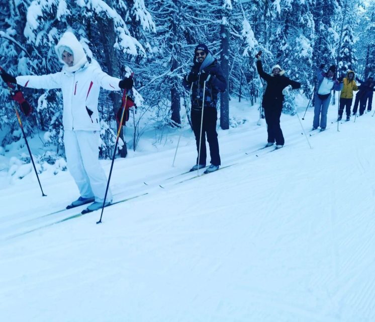 Kemi: Finnish Sight-Skiing Experience in Lapland - Technique basics you’ll actually use later