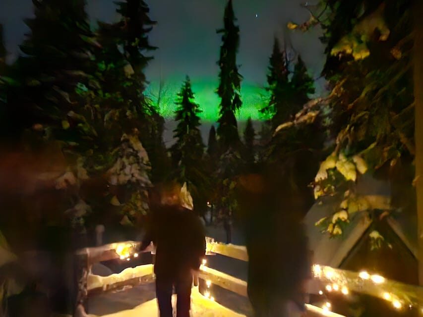 Kemi-Tornio: Starguaranteed Northern Lights Auroras - Stop 2: Guided Viewpoint Hour and Real-Time Sky Checks