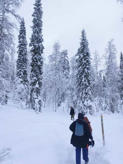 Korouoma Canyon Frozen Waterfalls Hike & Private Teepee BBQ - Key things that make this day trip work