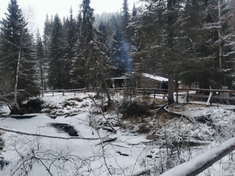 Korouoma Canyon Frozen Waterfalls Hike & Private Teepee BBQ - Getting from Rovaniemi to the trailhead: a calm start in a climate-controlled van