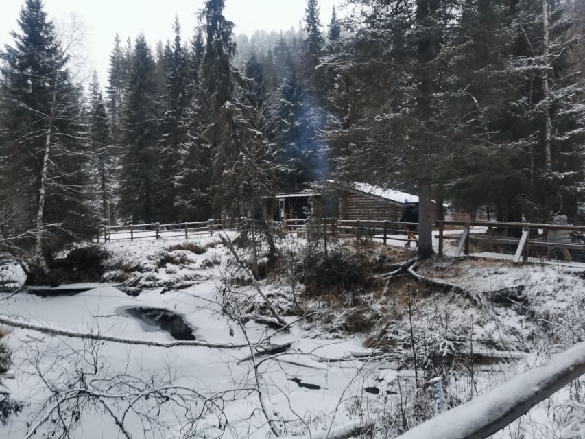 Korouoma Canyon Frozen Waterfalls Hike & Private Teepee BBQ - Getting from Rovaniemi to the trailhead: a calm start in a climate-controlled van