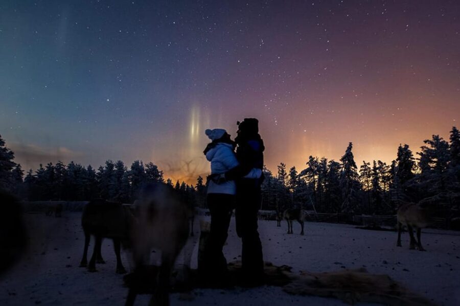 Kuusamo: Reindeer Farm Visit - Feeding time: why lichen makes this more than a photo op